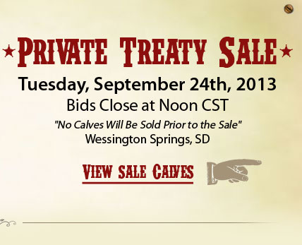 View Sale Calves