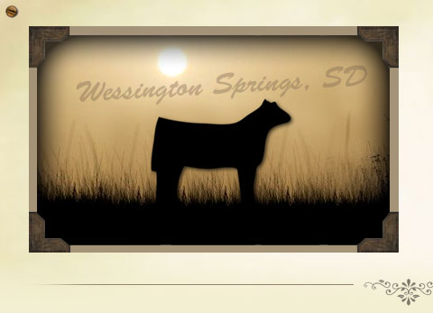 View Sale Calves
