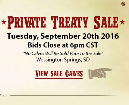 View Sale Calves